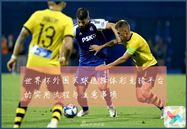 世界杯外围买球选择体彩竞猜平台的实用流程与注意事项