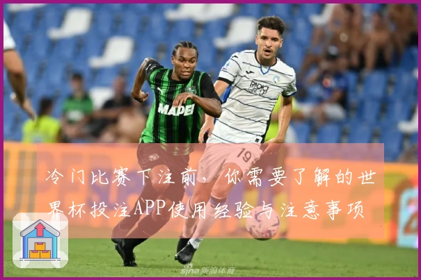 冷门比赛下注前，你需要了解的世界杯投注APP使用经验与注意事项